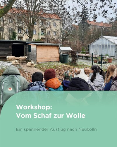 Die 3a unserer Elisabeth-Abegg-Grundschule hat einen sehr interessanten Ausflug in die August-Heyn-Gartenarbeitsschule...
